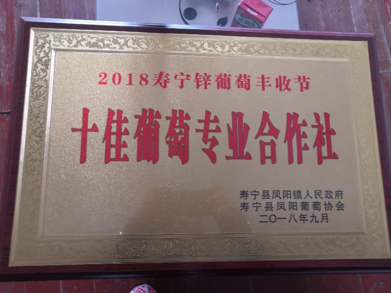 福建寿宁高山水蜜桃含硒锌量高5斤装10斤装