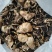 蘑菇，干品蘑菇，蘑菇干，赤松茸，次菇，一件代发，基地直供