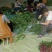 【牛商推荐】菏泽欣鼎观赏芍药鲜切花批发，欢迎咨询
