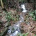 2020年蜀南竹海高山甜苦笋