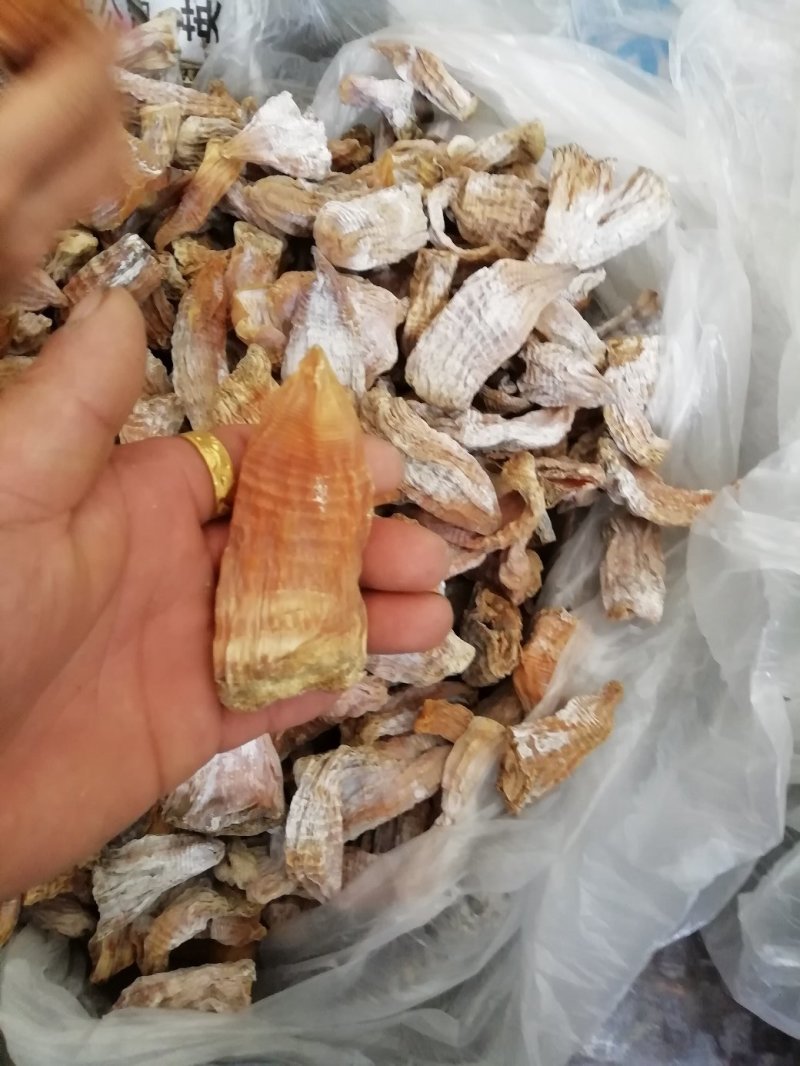 2020年蜀南竹海高山小笋农户自制小笋干