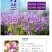 二月兰种子花籽诸葛菜二月蓝多年生宿根二月兰花种籽庭院耐寒
