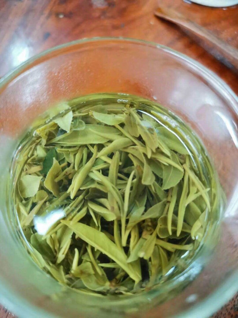 【喝好茶】2023新茶厂家批发正宗日照绿500g包邮尝鲜