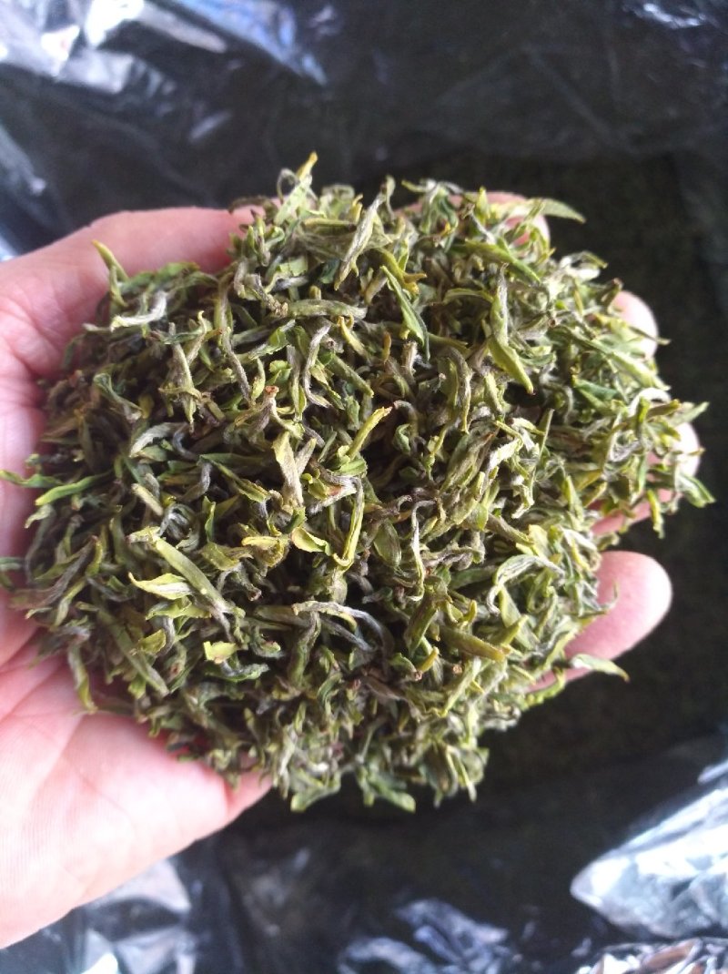 【喝好茶】2023新茶厂家日照绿茶板栗香500g包邮尝鲜