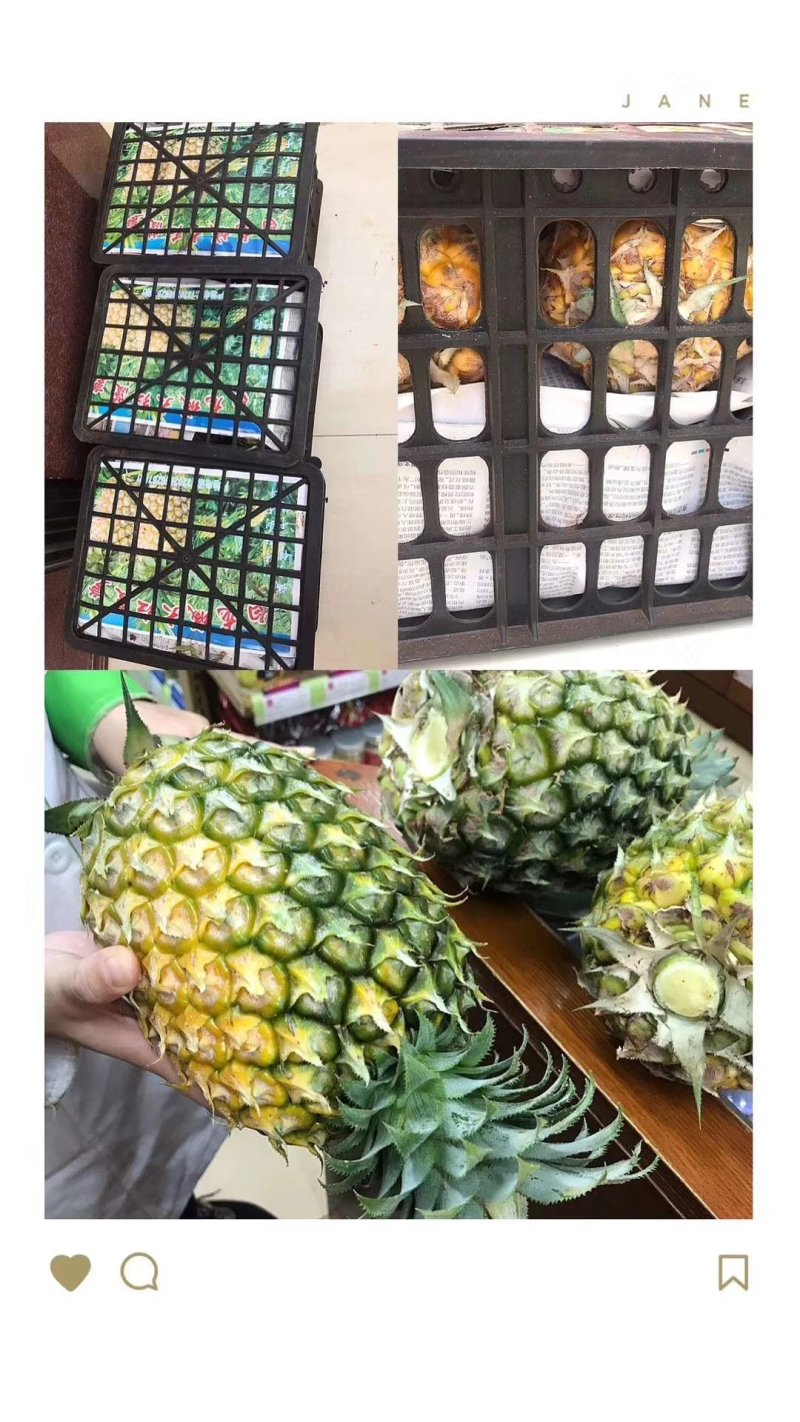 中国大陆最南端精品菠萝，诚信经营，全国代发。