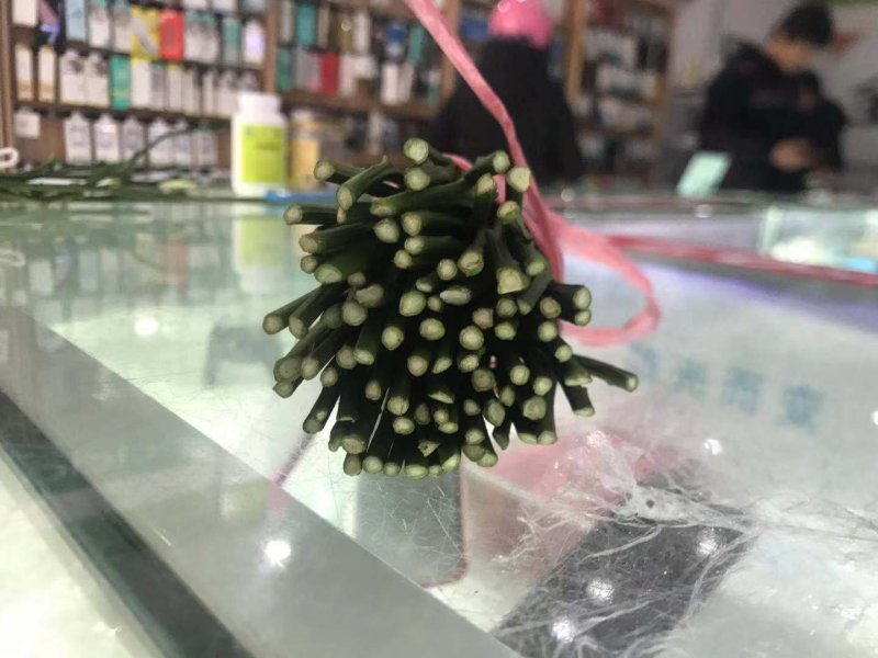 柑橘枝条媛红椪柑值得推广含花青素欢迎各大老板前来选购