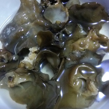 硬木木椴木耳（黑龙江产）！支持线上保障交易。