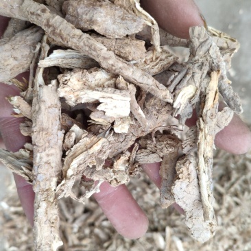 足干地骨皮甘肃产含量高优质货源代抓各种药方