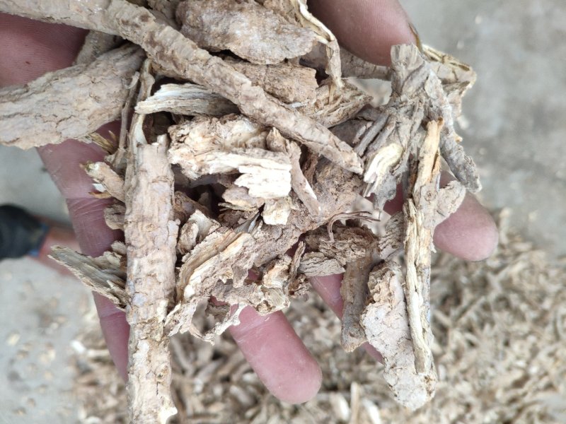 足干地骨皮甘肃产含量高优质货源代抓各种药方