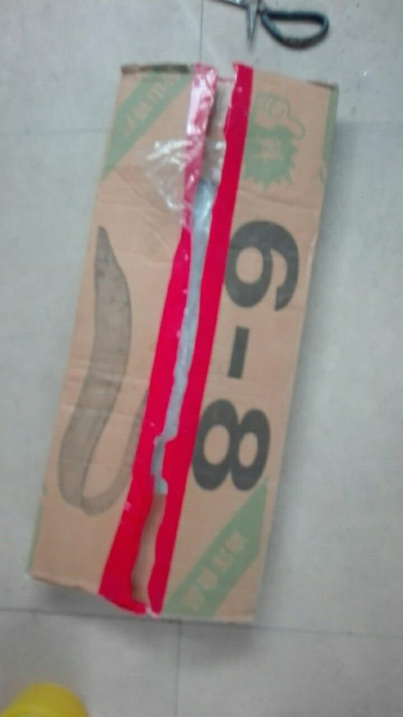 刀鱼