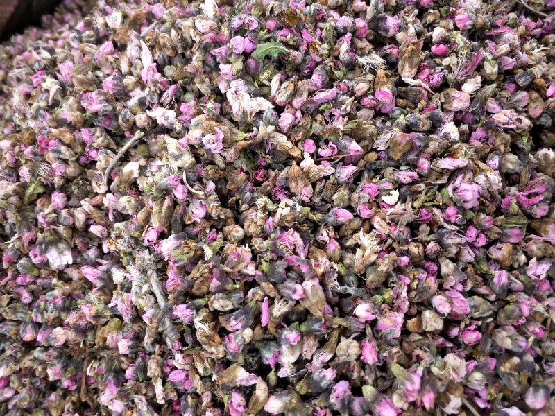 桃花批发各种规格中药材饮片，名贵药材