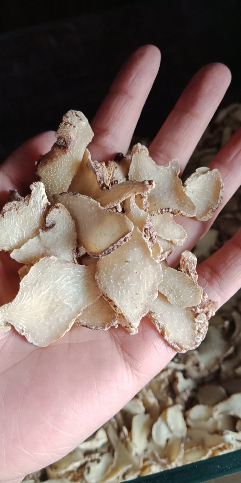 三叉白芨片云南白芨白及批发零售各种规格中药材