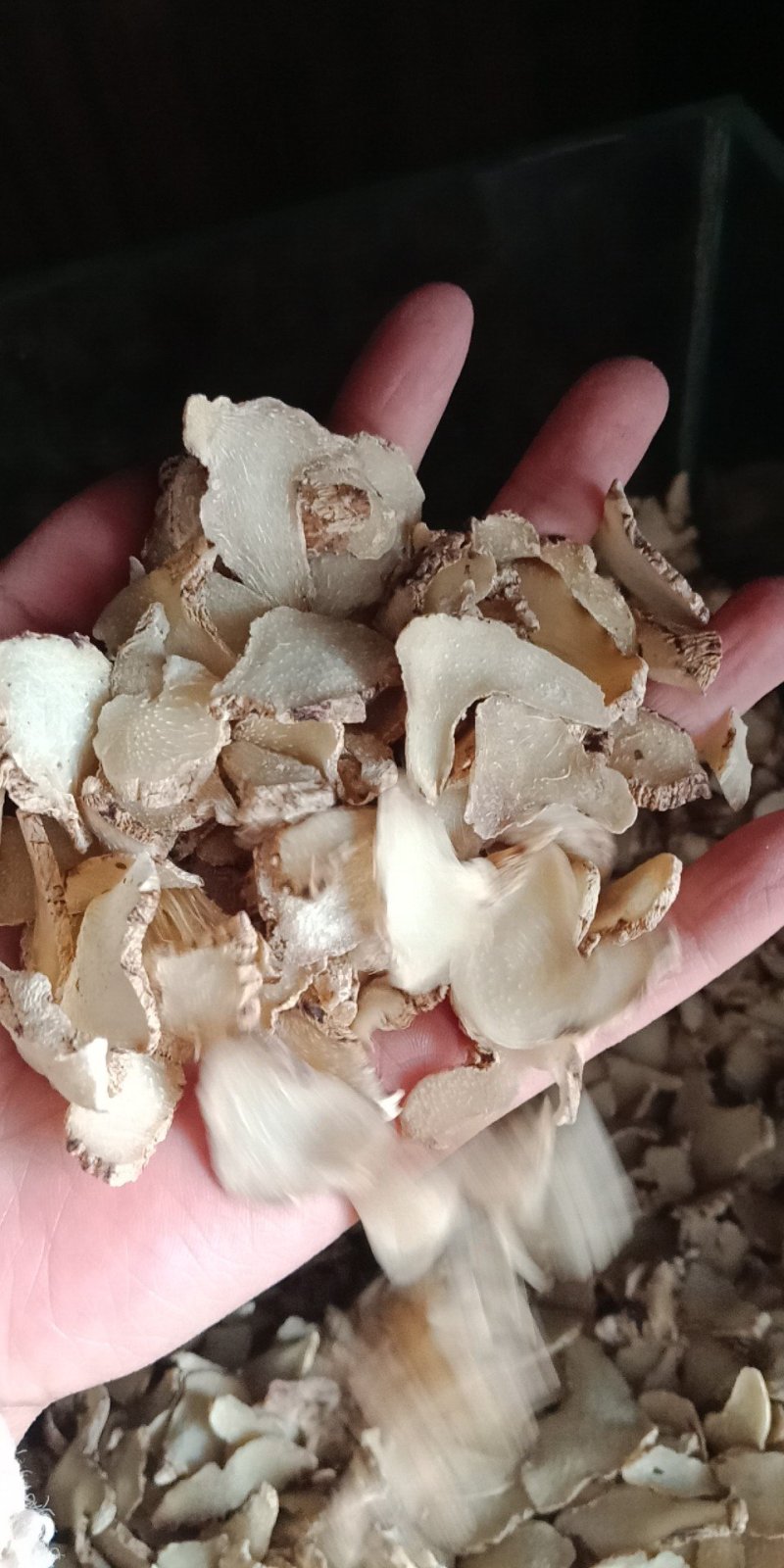 三叉白芨片云南白芨白及批发零售各种规格中药材
