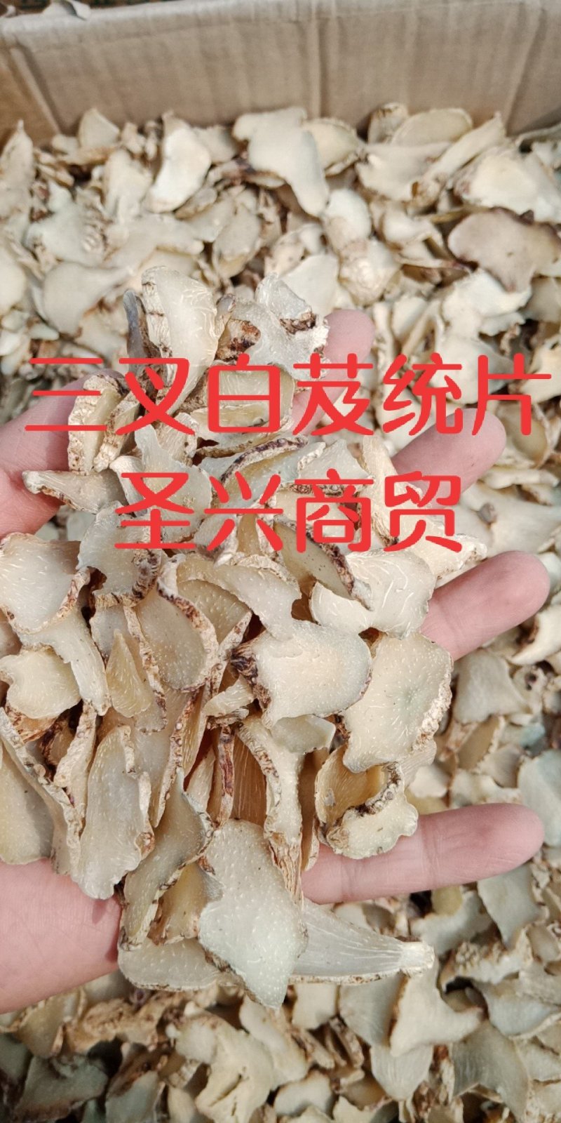 三叉白芨片云南白芨白及批发零售各种规格中药材