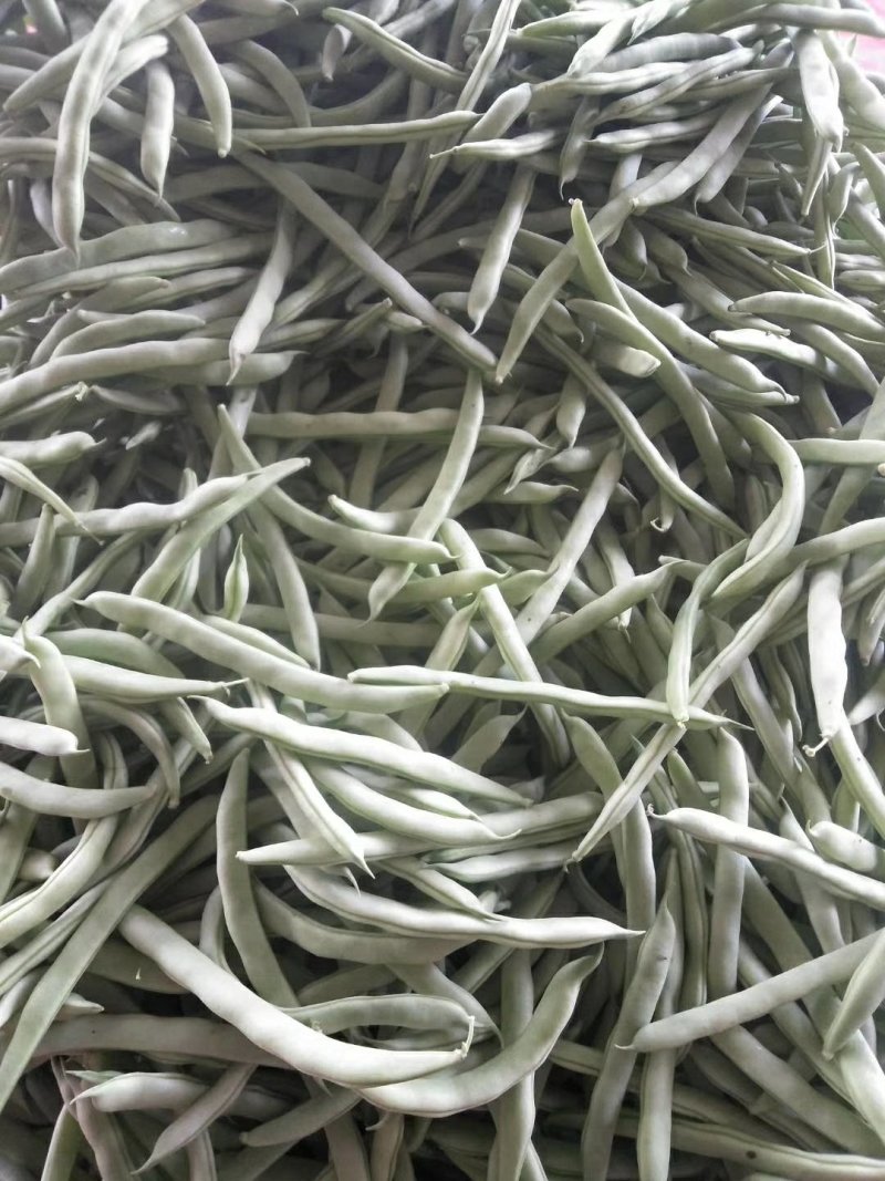 白不老，芸豆，红豆，油豆已上市