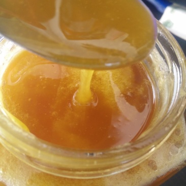 云南野生蜂蜜小挂蜜草蜂蜜的山蜂蜜