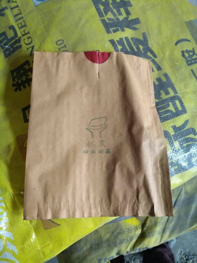 常年供应葡萄套袋，梨子套袋，草莓套袋，桃子套装等