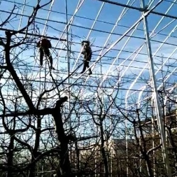香菇大棚建设蔬菜大棚安装温室大棚设计大棚配件销售