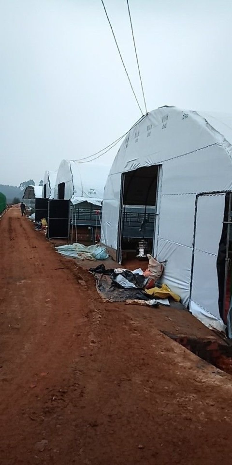 香菇大棚建设蔬菜大棚安装温室大棚设计大棚配件销售