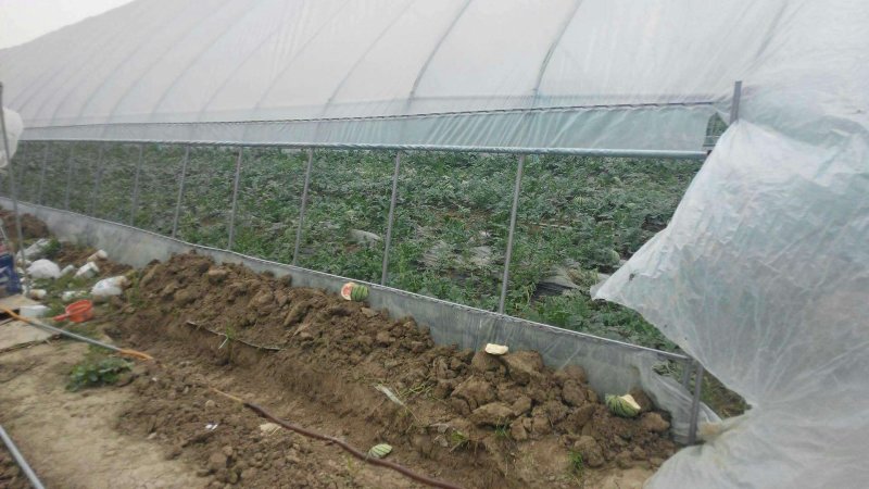 香菇大棚建设蔬菜大棚安装温室大棚设计大棚配件销售