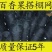 百香果网百香果搭棚架专用爬藤网攀爬网植物种植网