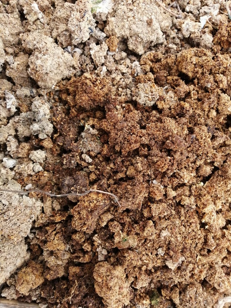 蘑菇渣废弃菌棒