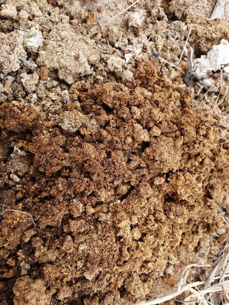 蘑菇渣废弃菌棒