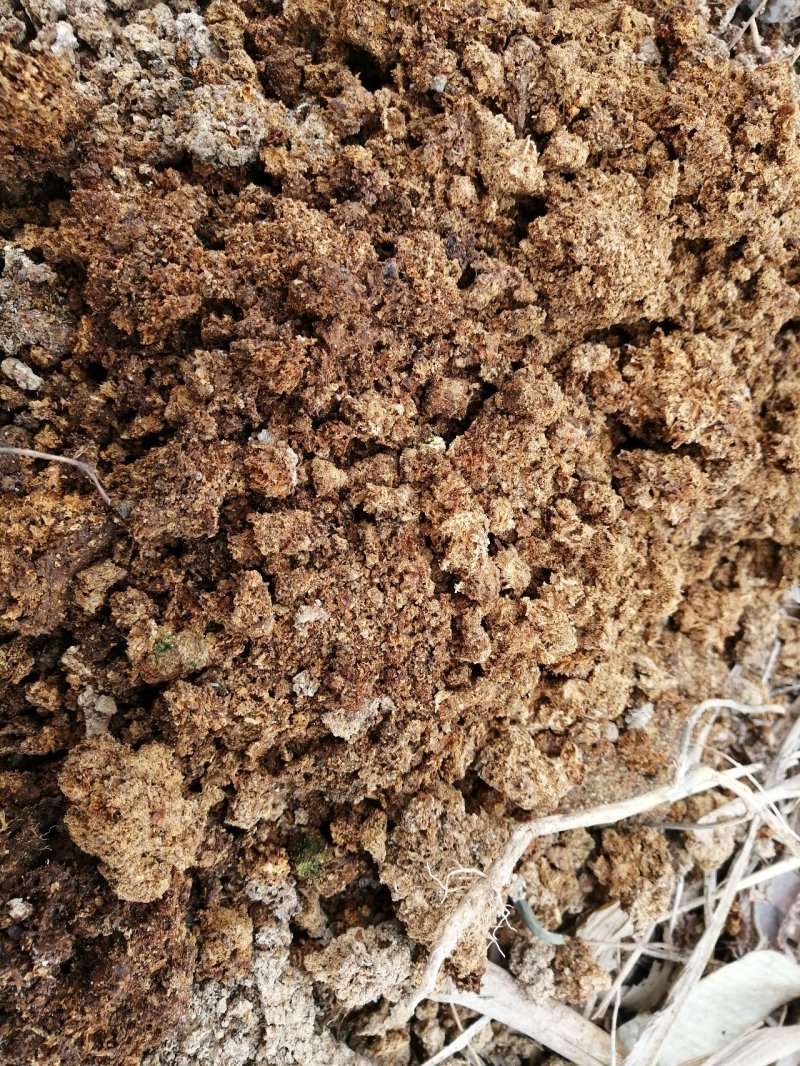 蘑菇渣废弃菌棒