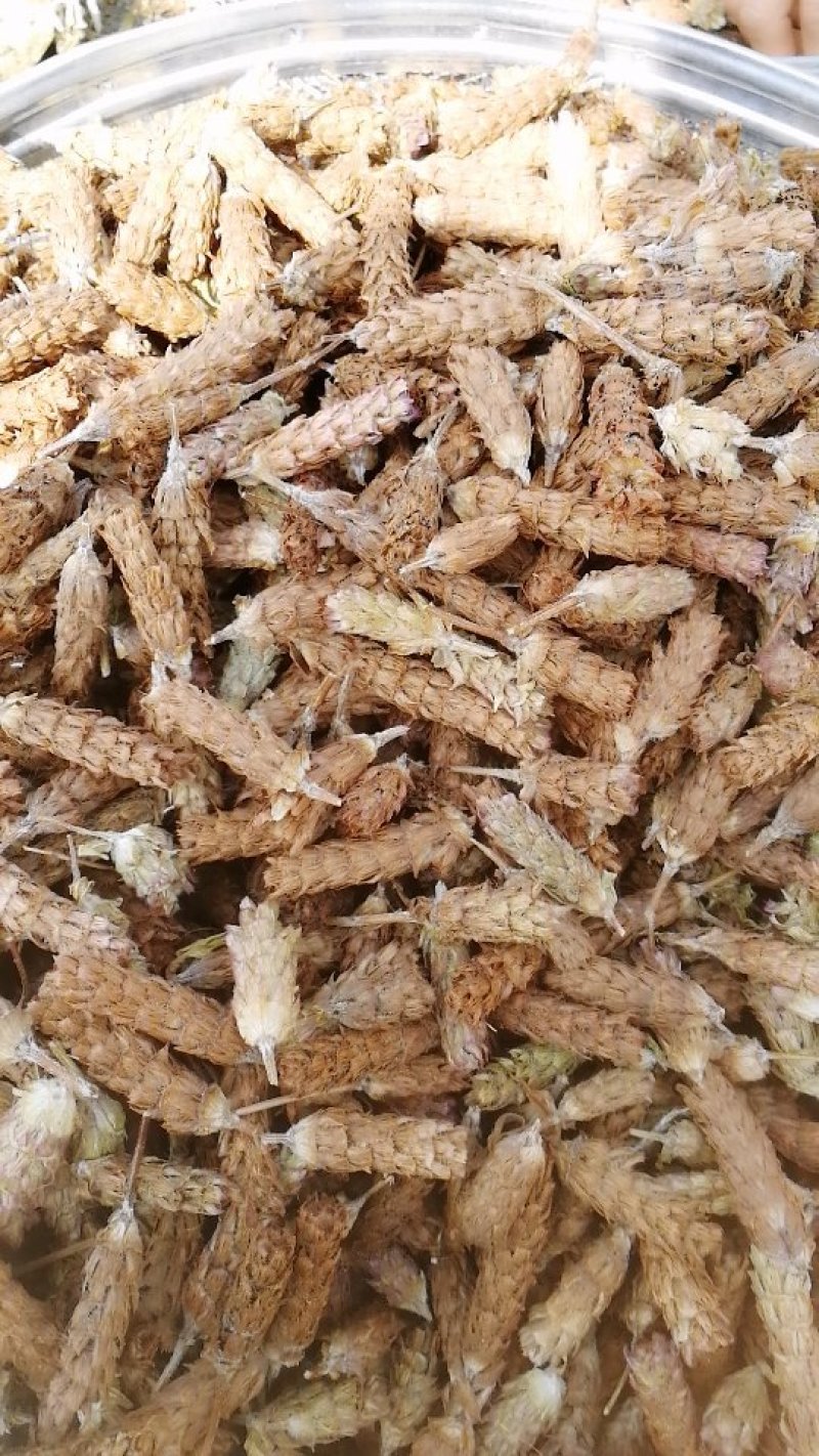 夏枯球手剪货，质量好，一手农户货源