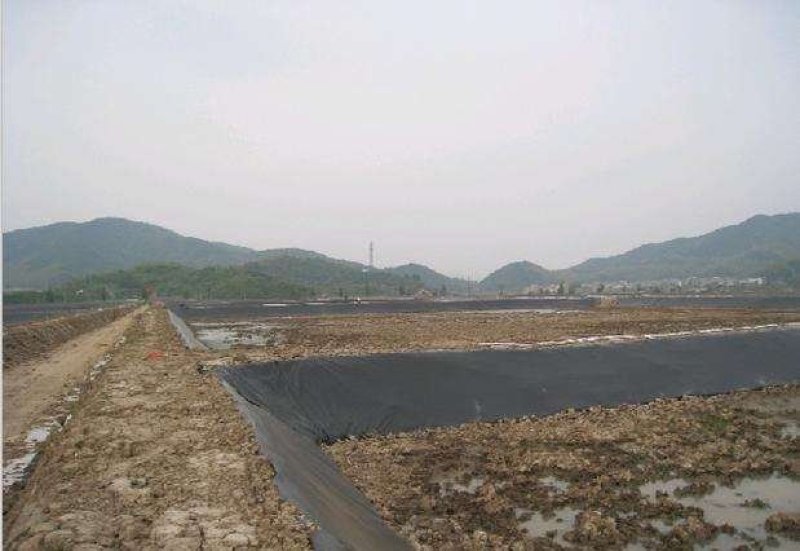 防渗膜水产养殖进口原料防渗膜鱼池蓄水池人工湖防渗膜