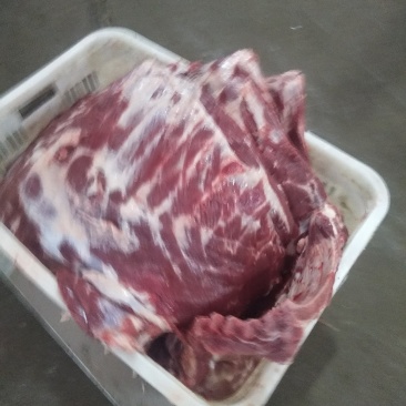山东省临沂市冷裤直销猪肉腿骨