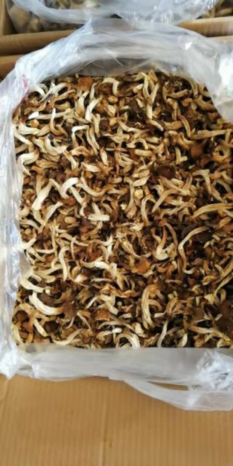 烘干精制姬菇