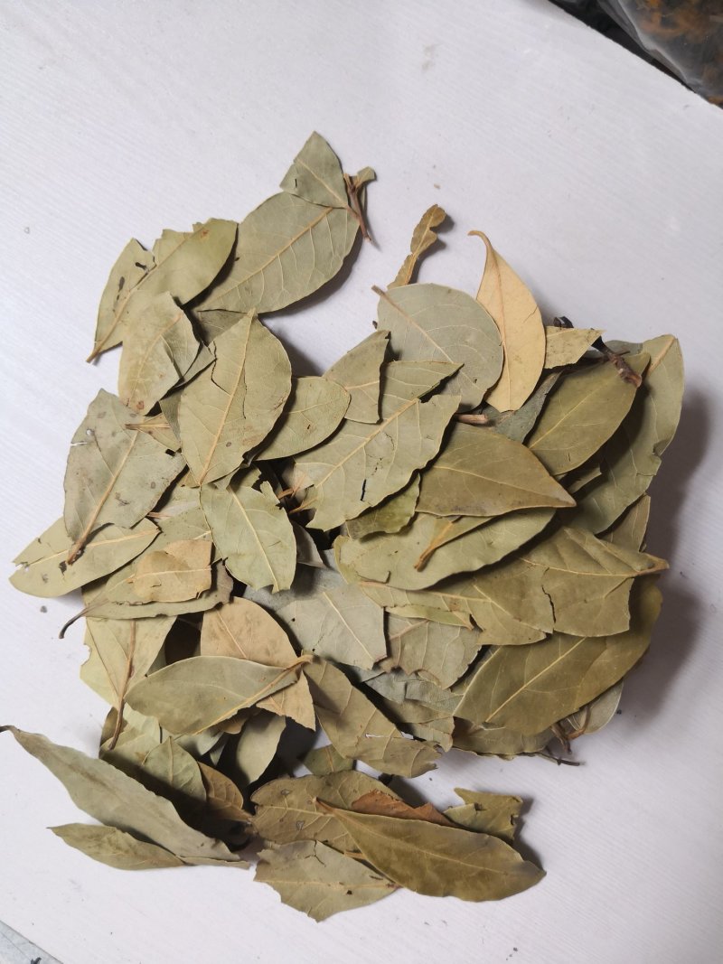 香叶1公斤起批香料无硫无添加不包邮只做正品