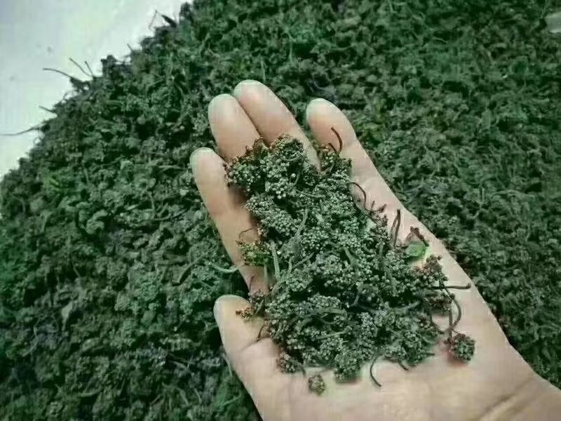 人参花茶