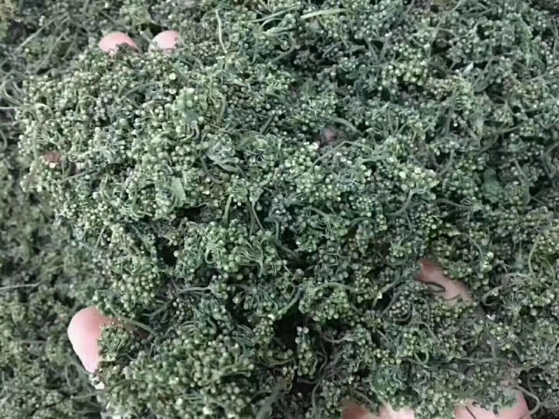 人参花茶