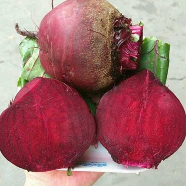 优质甜根菜,颜色鲜艳,口感脆甜,汁多味美,基地直供,佳品