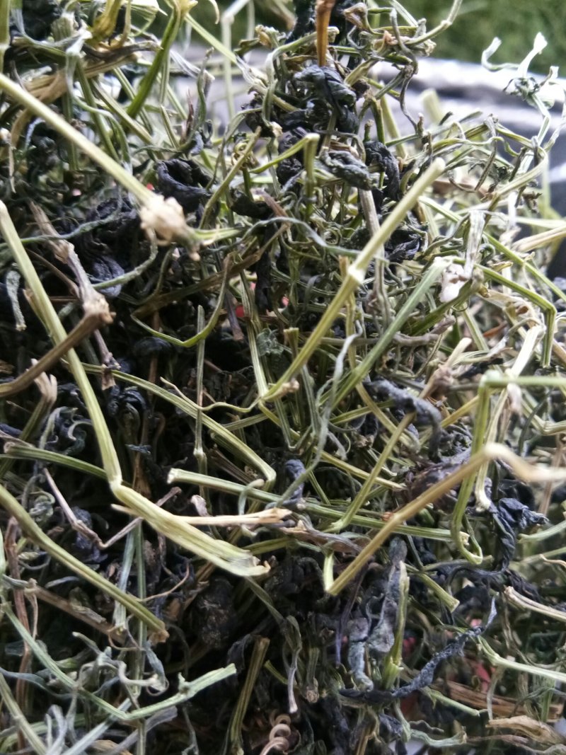 绞股蓝平利野生绞股蓝茶三高茶一斤包邮到家