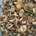 松乳菇，绿桐菇现采。