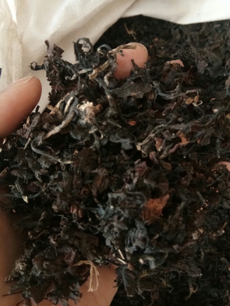 海藻江苏药用高含量纯净干净无杂质一公斤起包邮