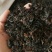海藻江苏药用高含量纯净干净无杂质一公斤起包邮