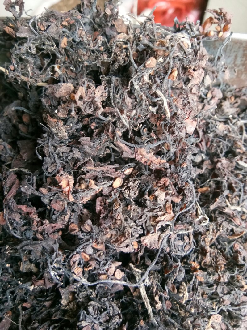 海藻江苏药用高含量纯净干净无杂质一公斤起包邮