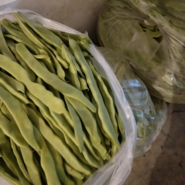 精品扁豆