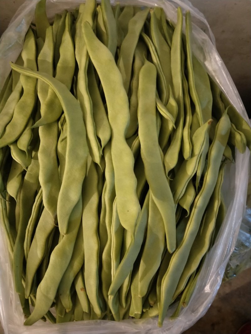 精品扁豆