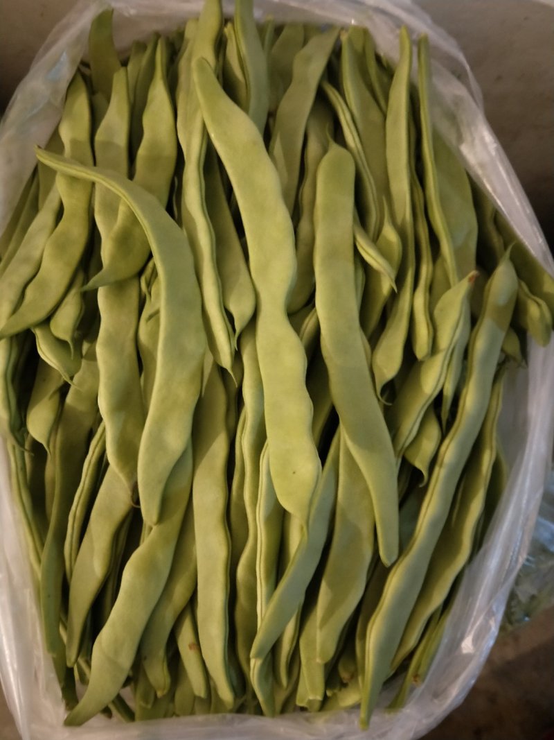 精品扁豆