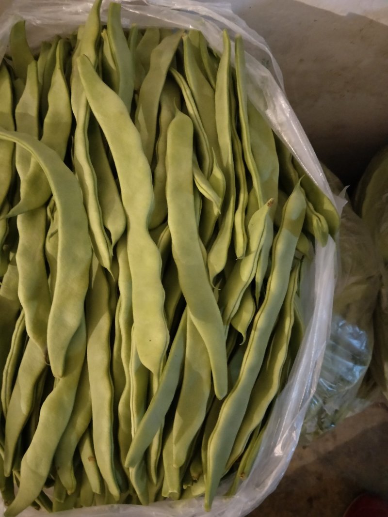 精品扁豆