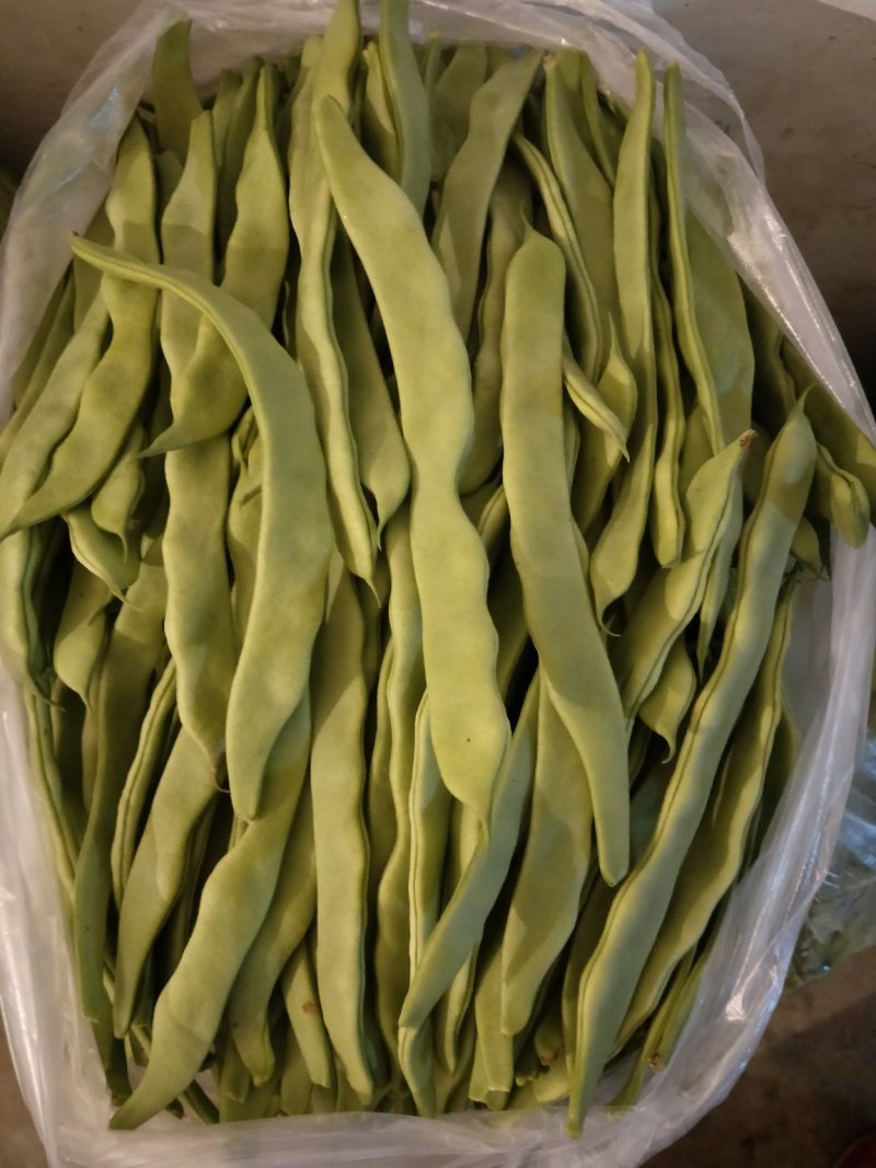 精品扁豆