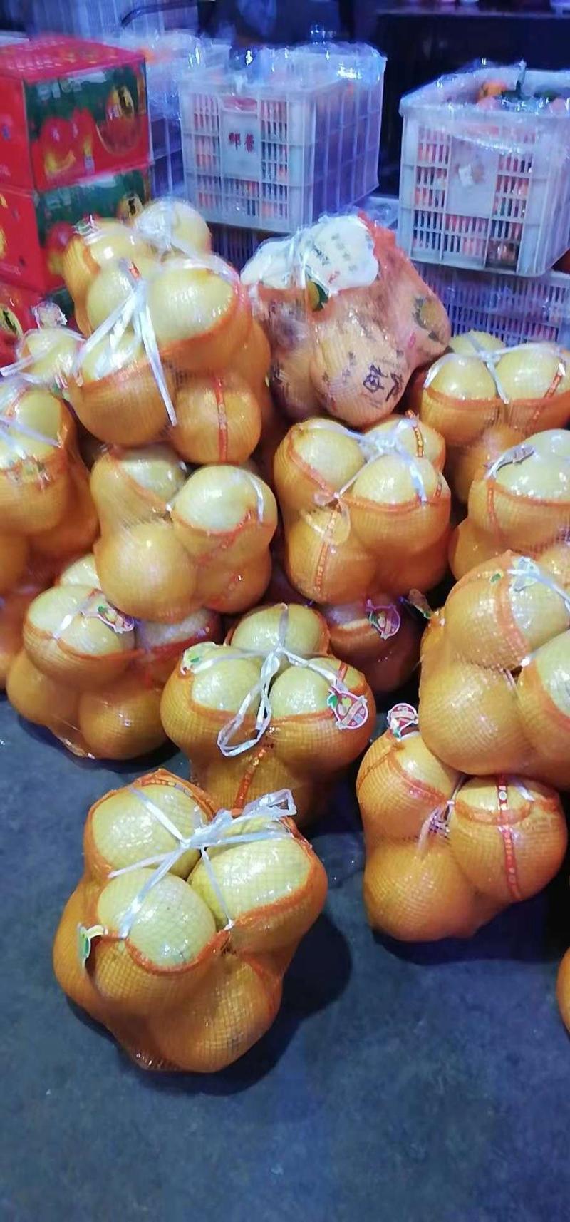 平和红心柚子柚子琯溪蜜柚三红柚很甜很好吃