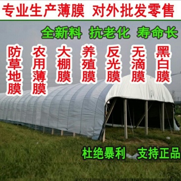 大棚膜农用养殖薄膜食用菌家禽养殖