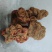 朱砂参朱砂莲朱砂根货好量大产地直售