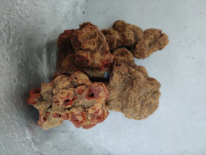 朱砂参朱砂莲朱砂根货好量大产地直售